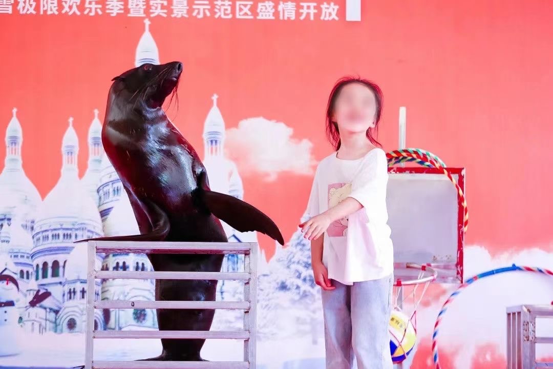 莱芜市海狮表演出租推荐