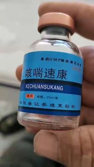 廊坊萌宠动物回收出售羊殖基地