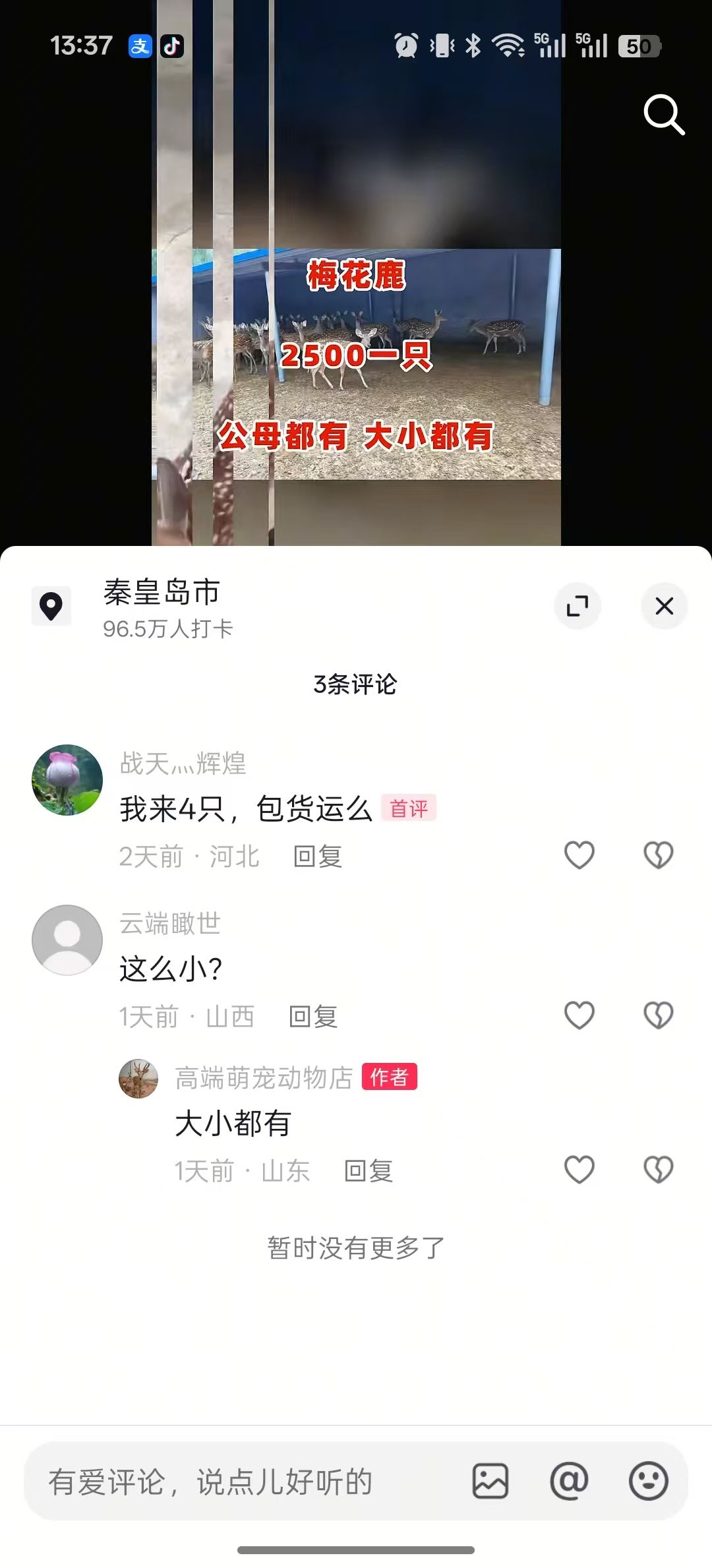 盘锦抖盈科技搜索效果好的公司案例图片