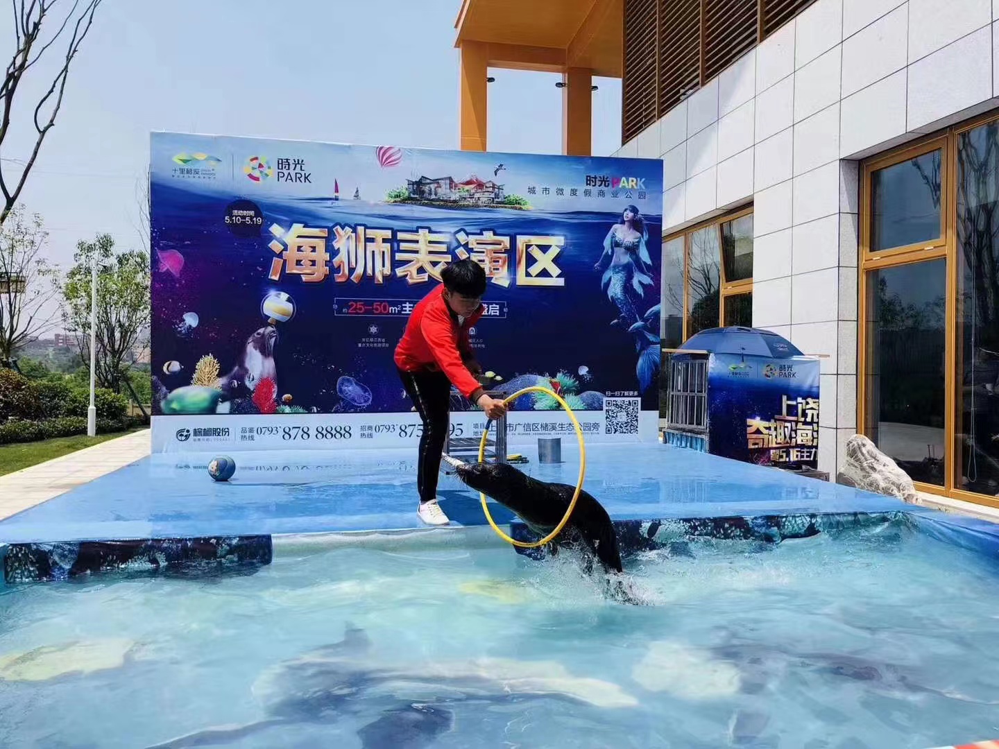 北京企鹅展览多少钱