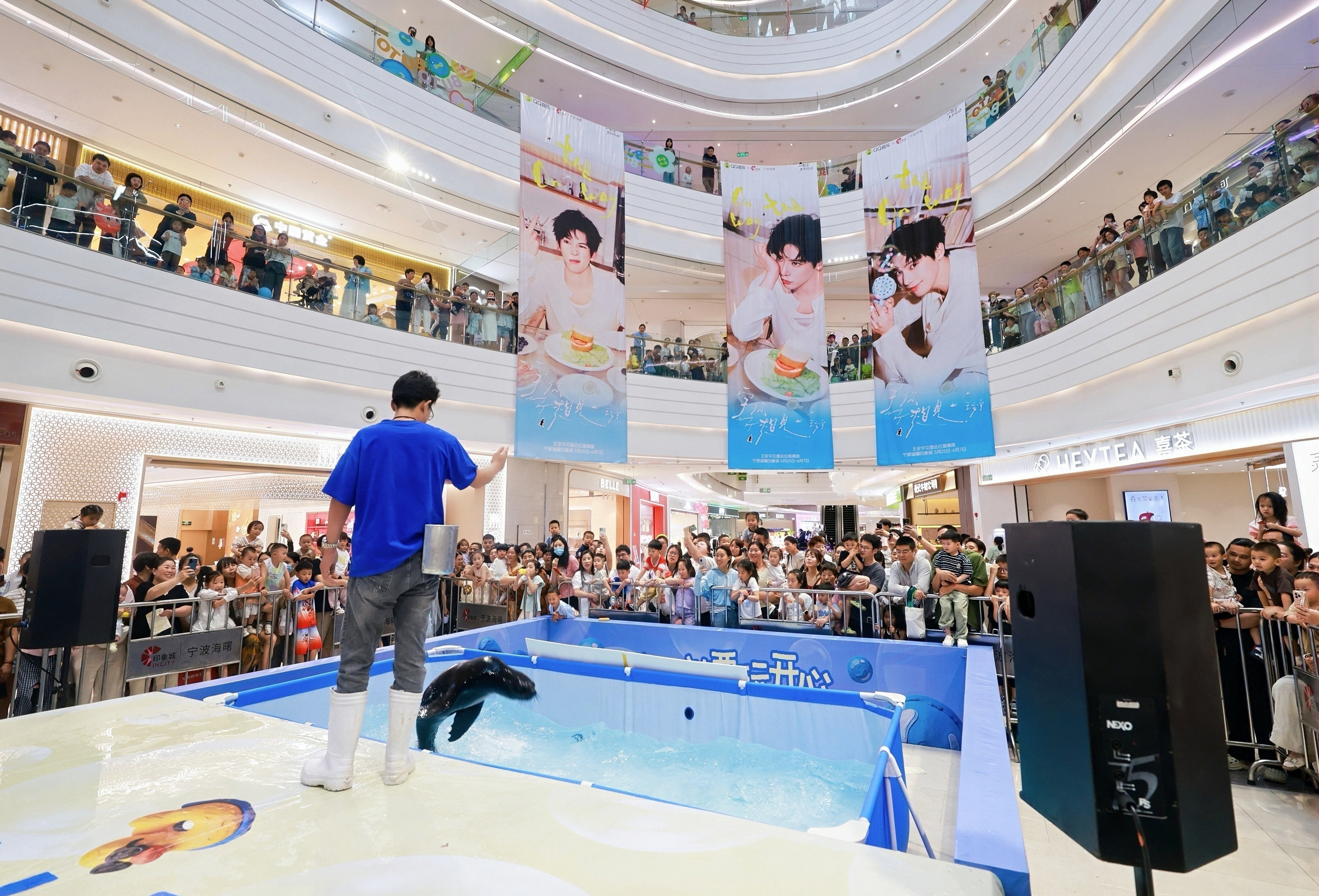 北京海狮表演选哪家