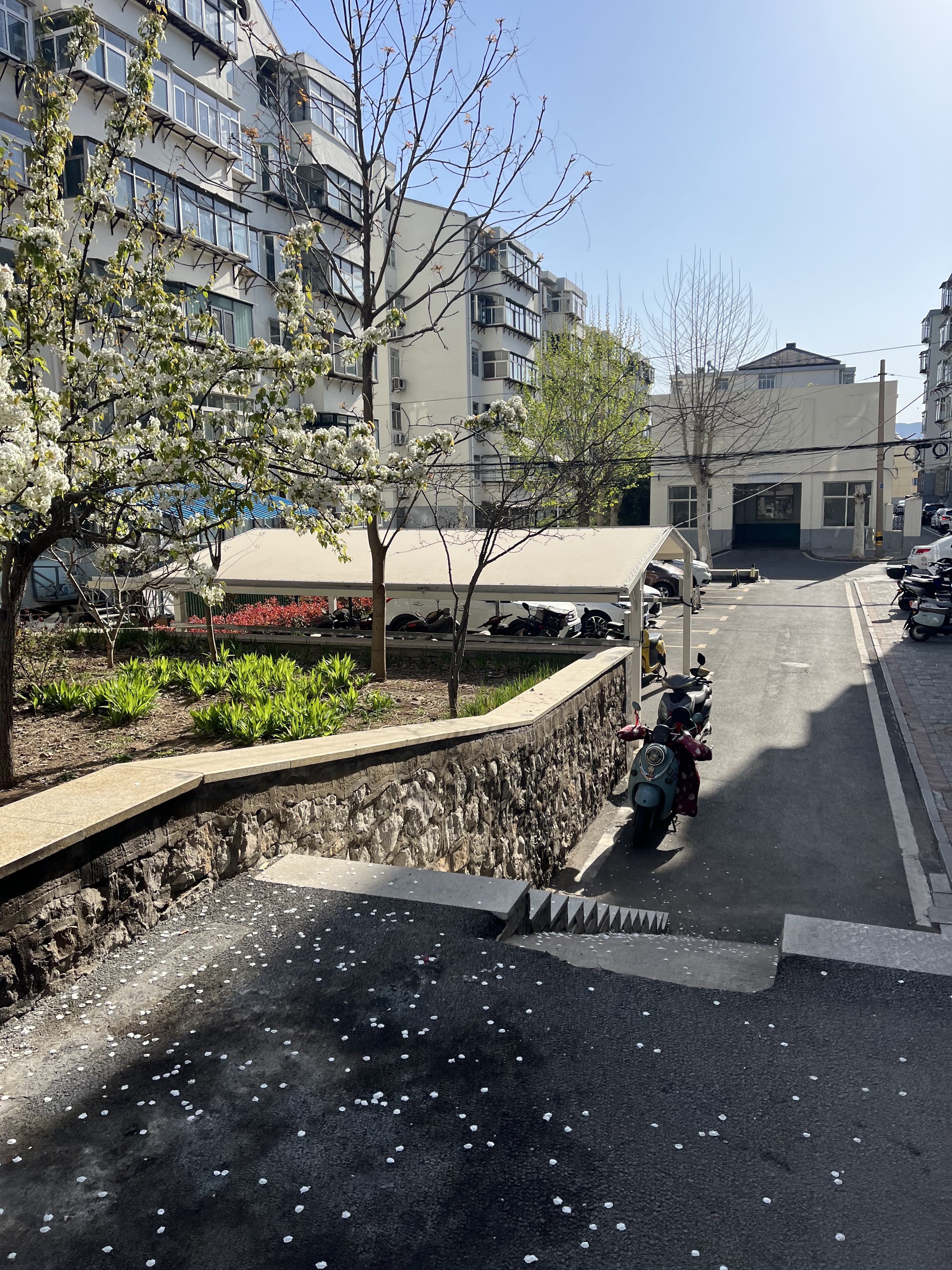 城关蓬宇膜结构实力展示