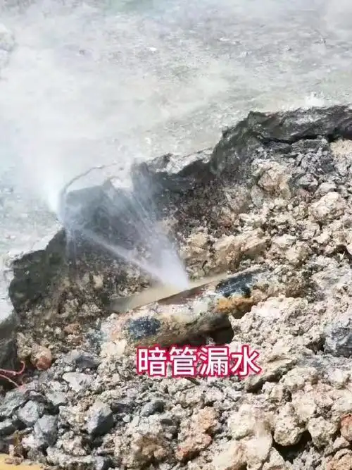 双鸭山尚辉装饰工程墙砖空鼓施工案例图片