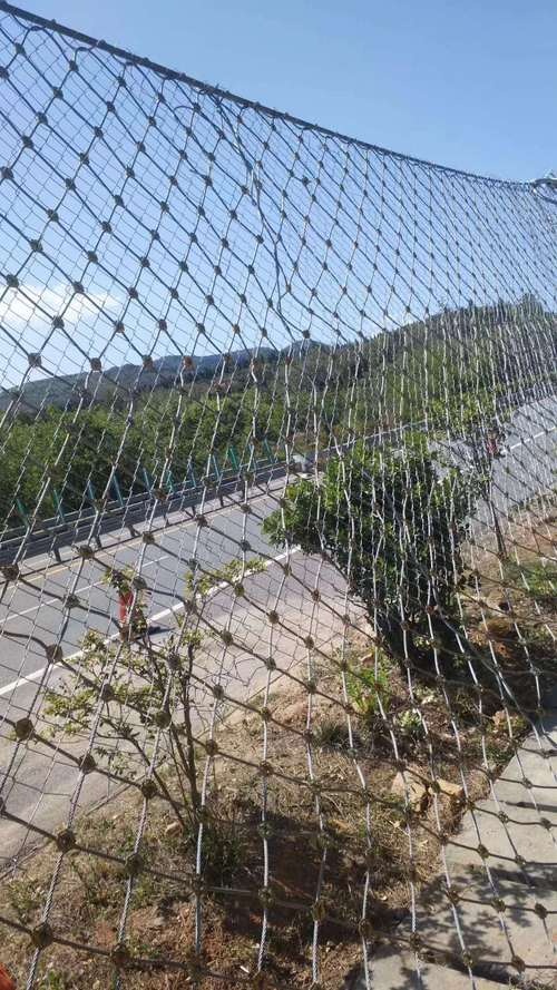 庆阳振泰金属制品被动边坡防护网实拍