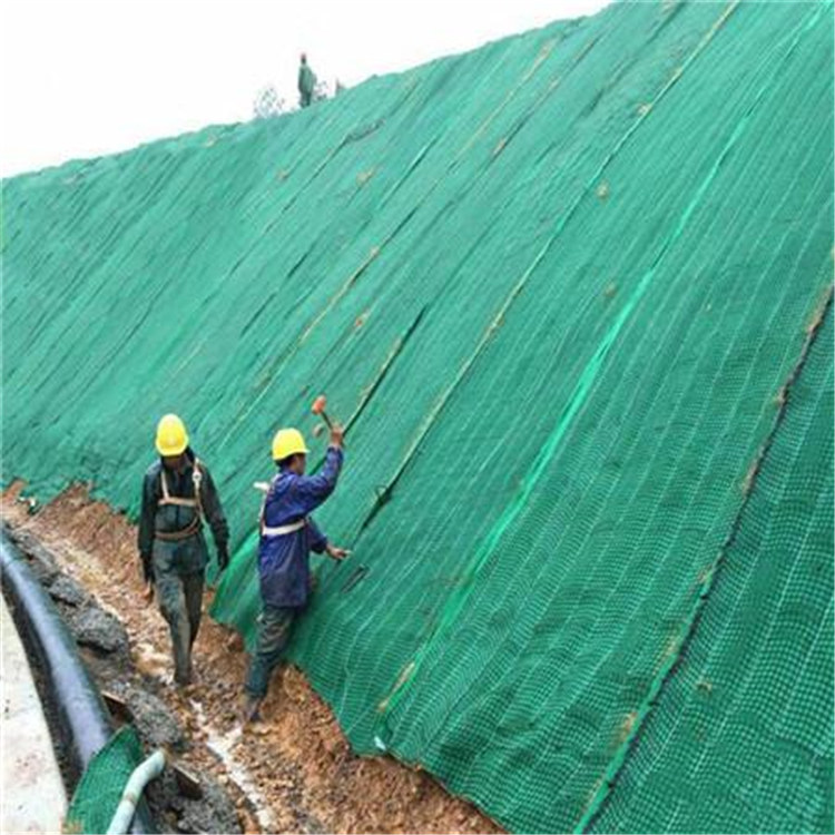 北京三维植被网哪家专业
