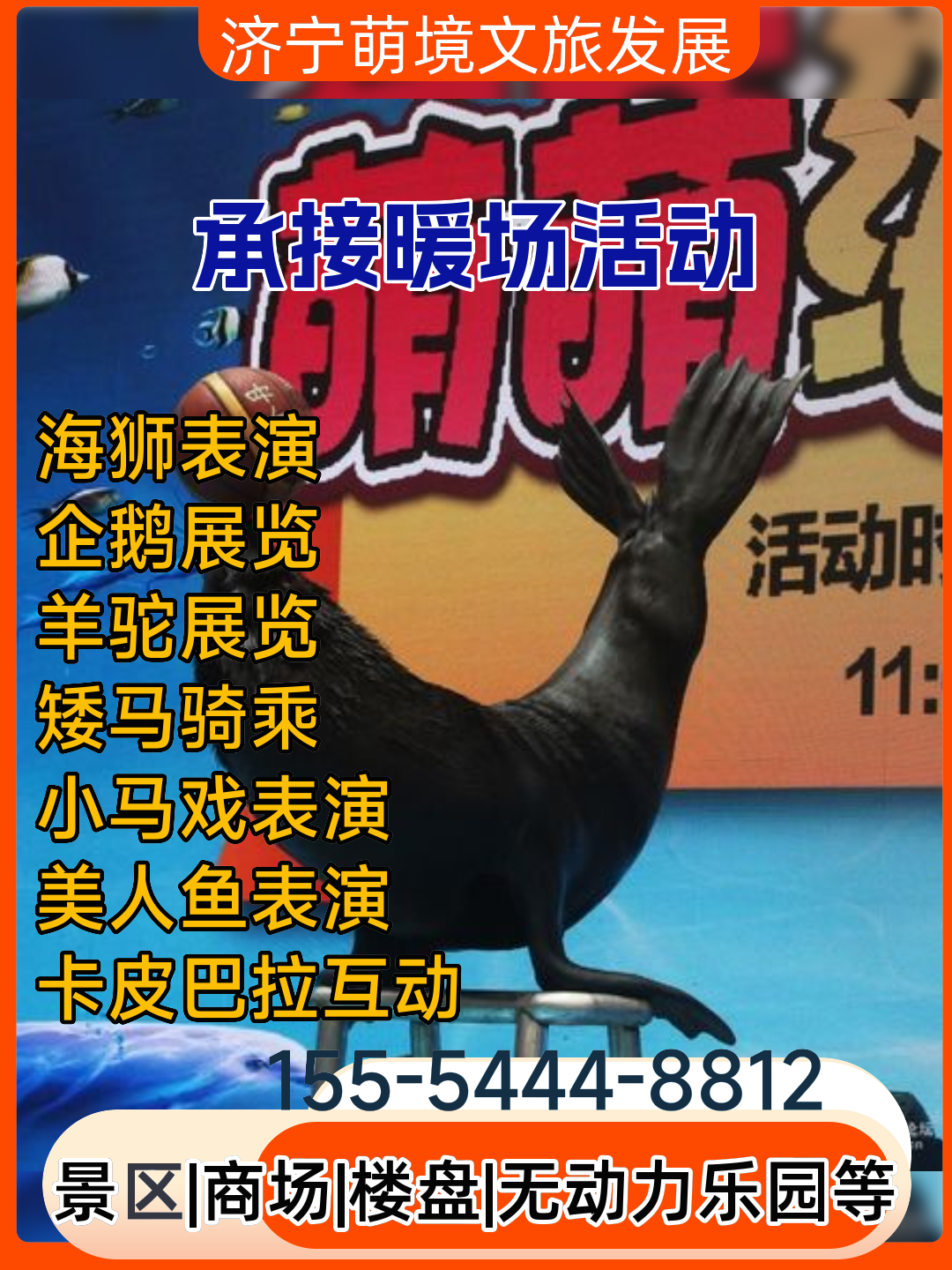 北京羊驼展览价格实惠