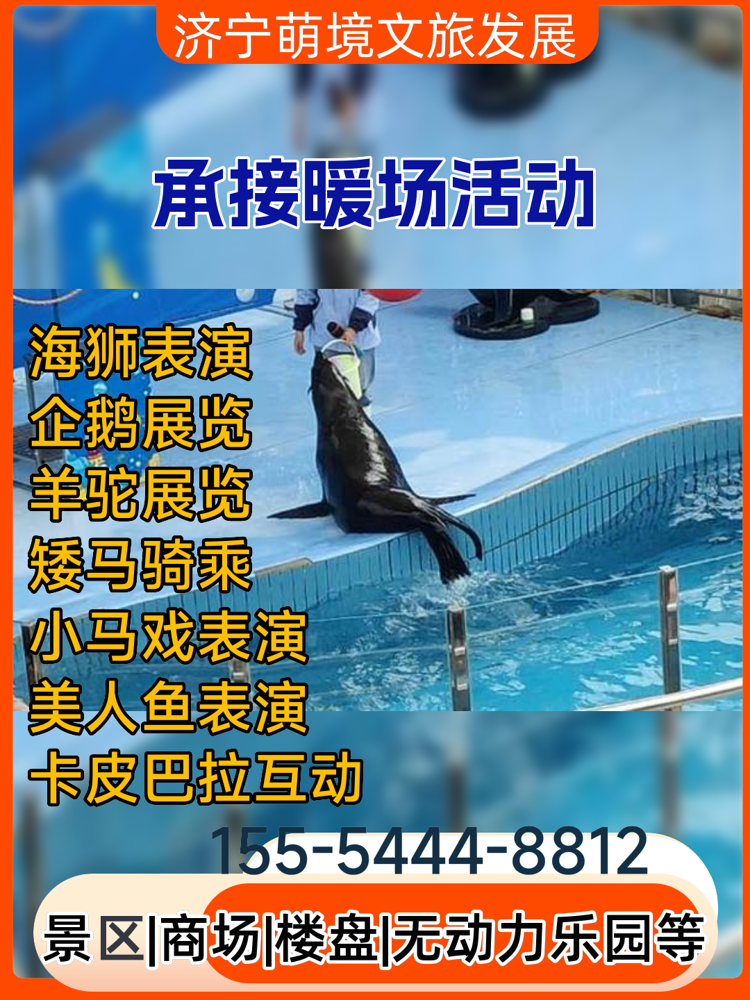 北京海狮表演租赁厂家