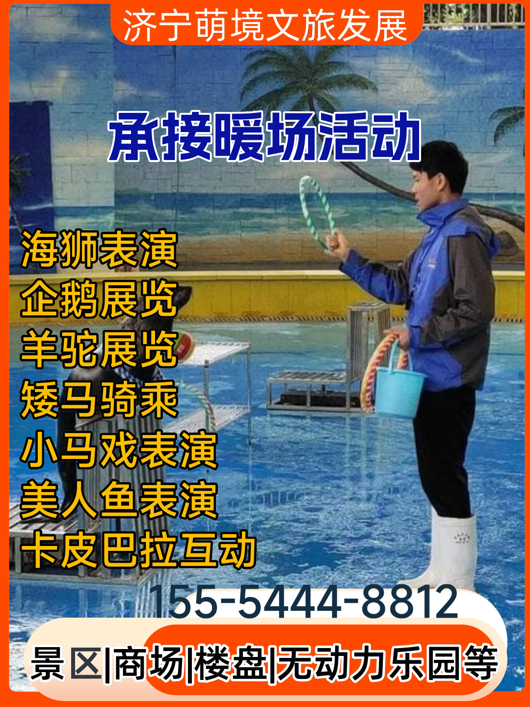 北京羊驼展览精彩绝伦