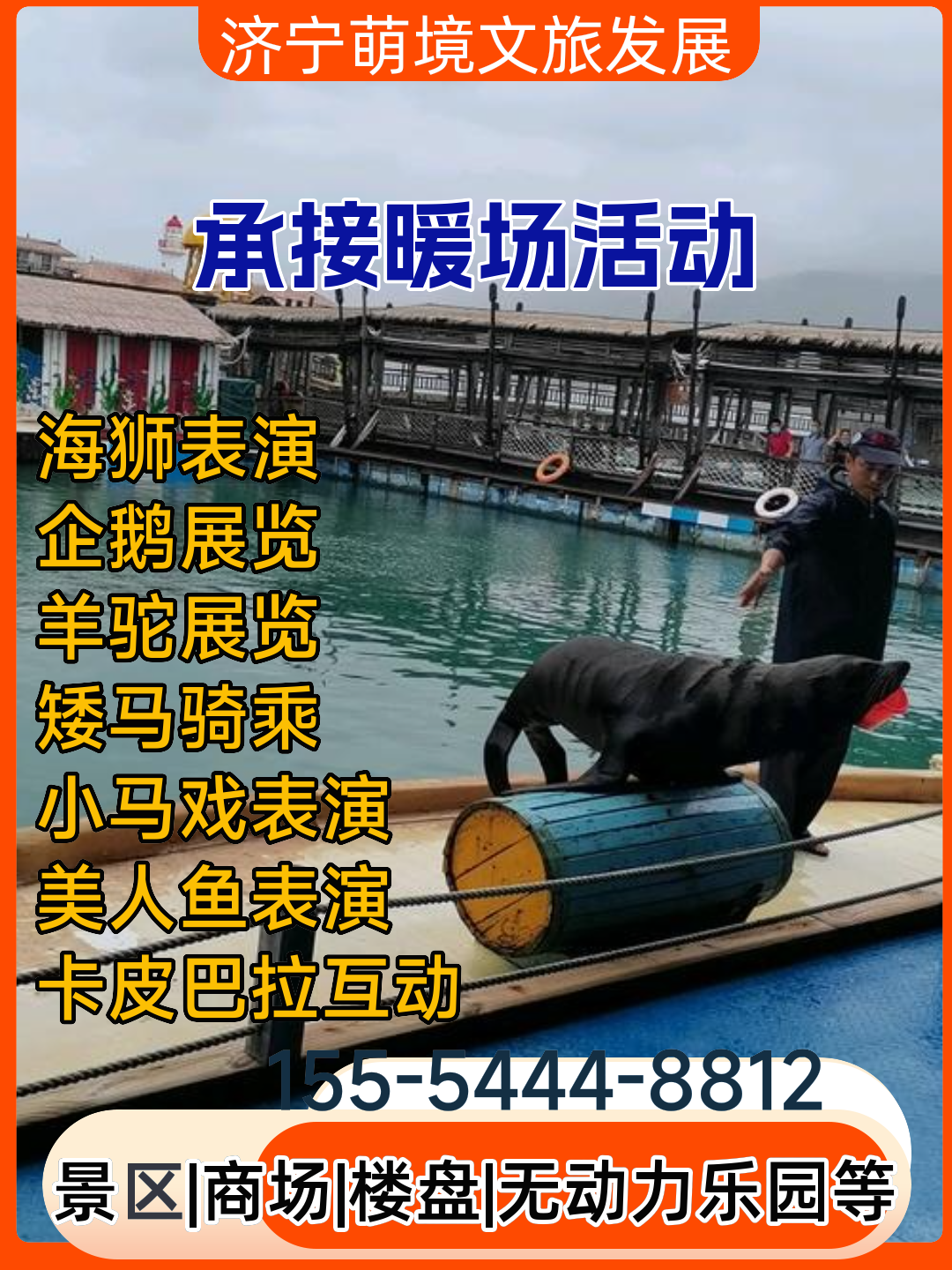 北京海狮表演租赁厂家