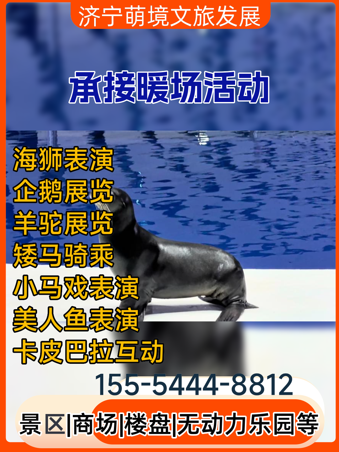 上海小马戏租赁哪家专业