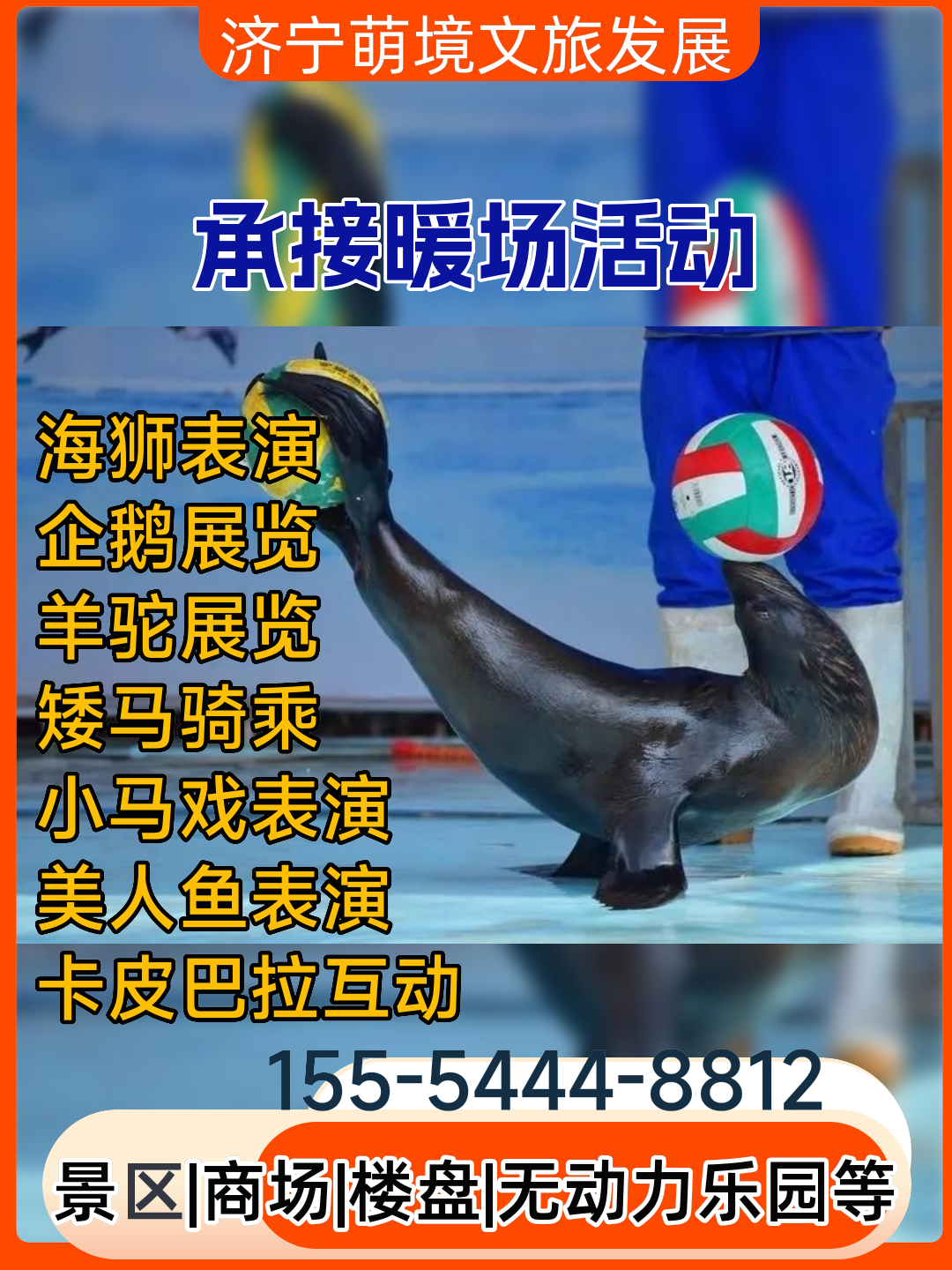 北京矮马骑乘价格实惠