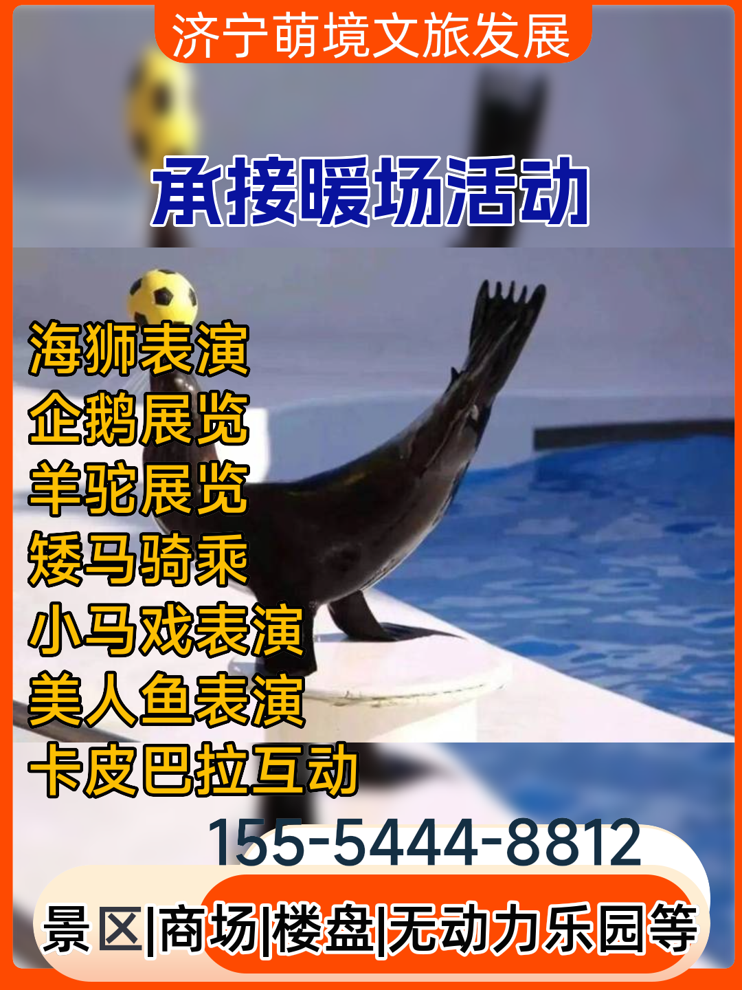 北京海狮专属定制