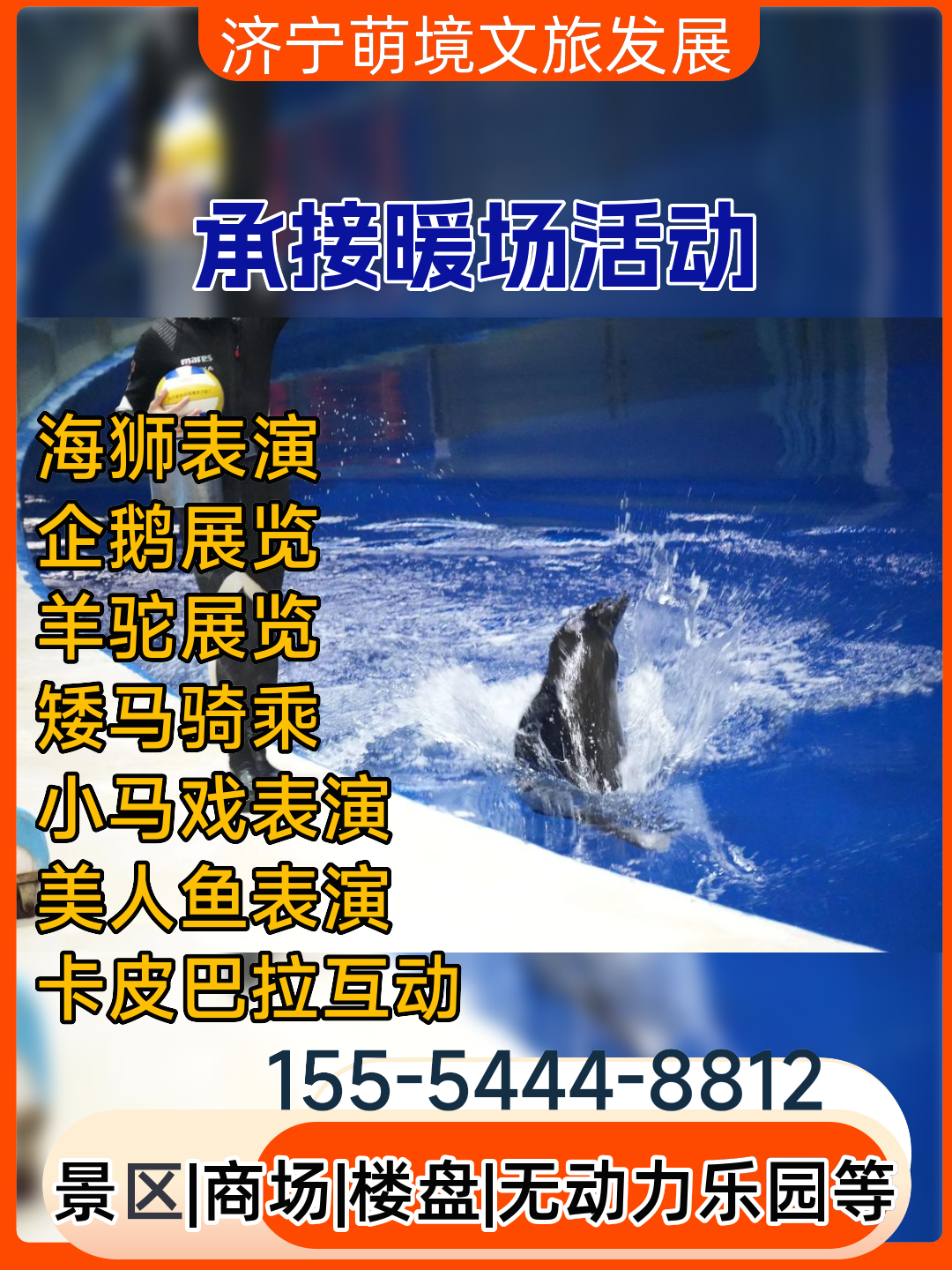 北京羊驼展精彩绝伦