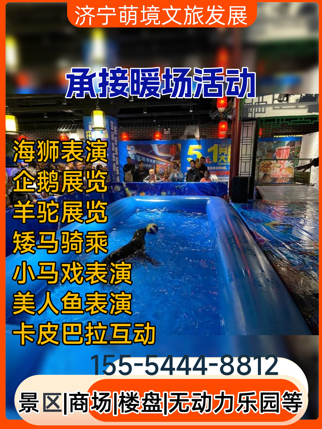 大同萌境文旅发展海狮表演租赁公司实拍