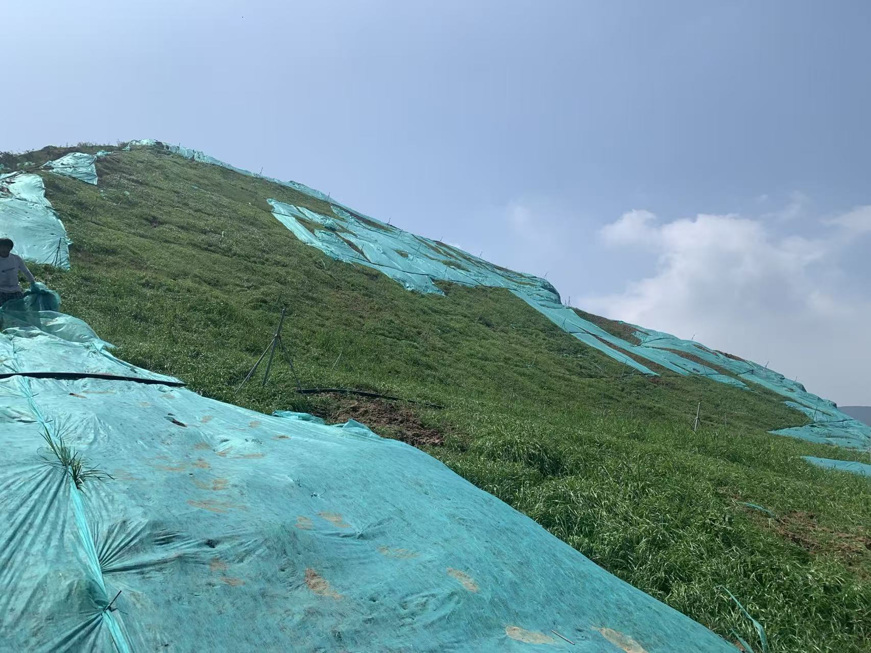 北京客土喷播边坡绿化服务周全