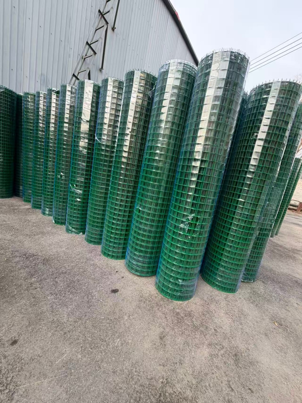 湖南娄底双峰荷兰网报价