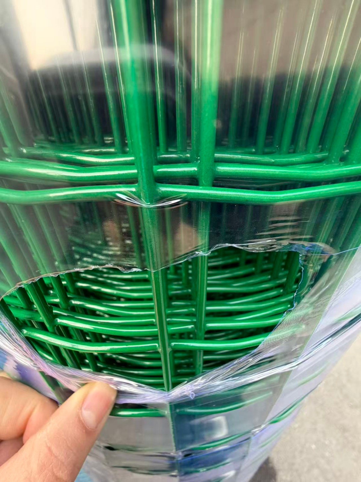 甘肃甘南州合作养殖荷兰网安装公司