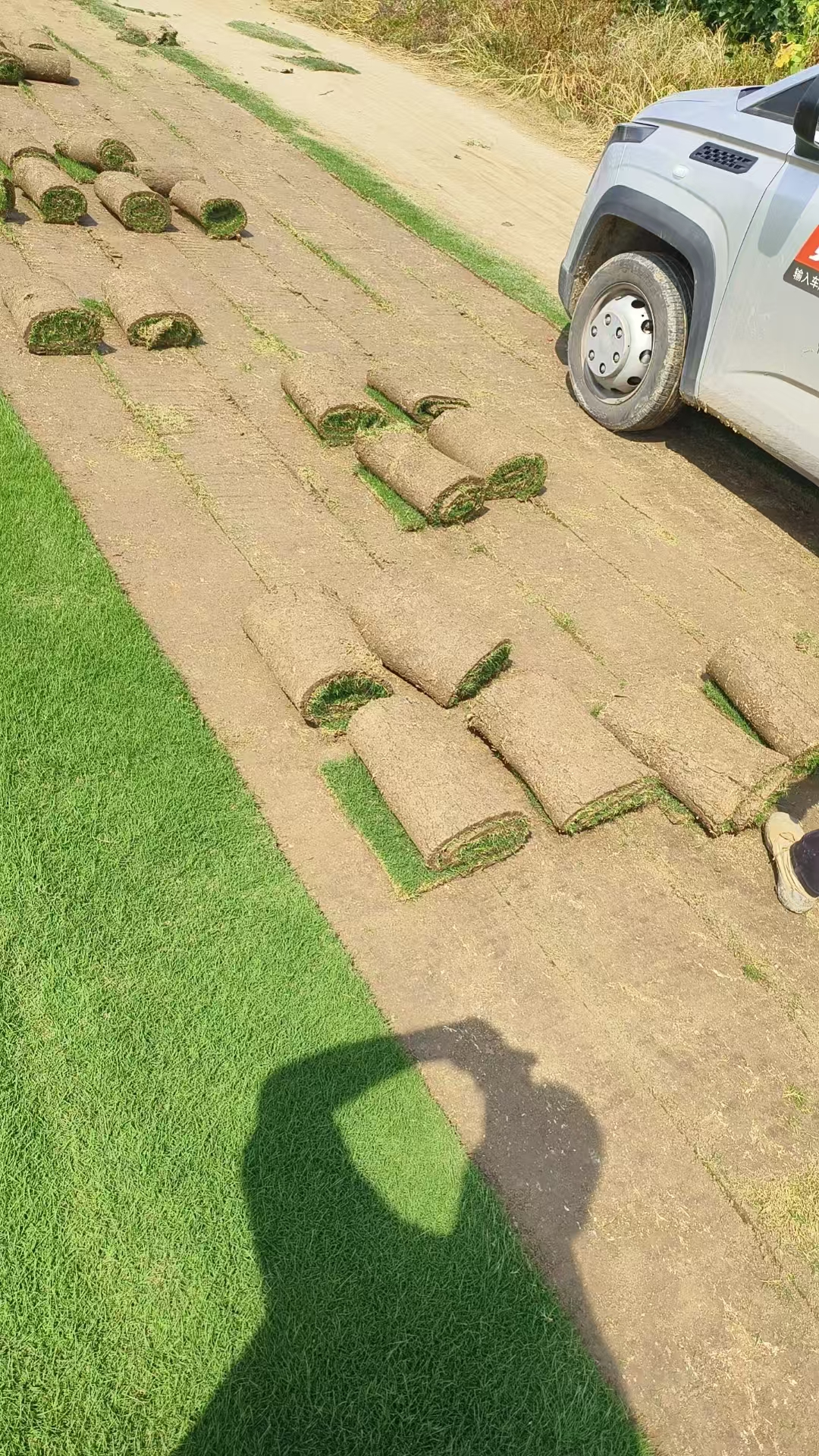 吉安美景畅远草坪靠谱的百慕大草坪基地案例图片