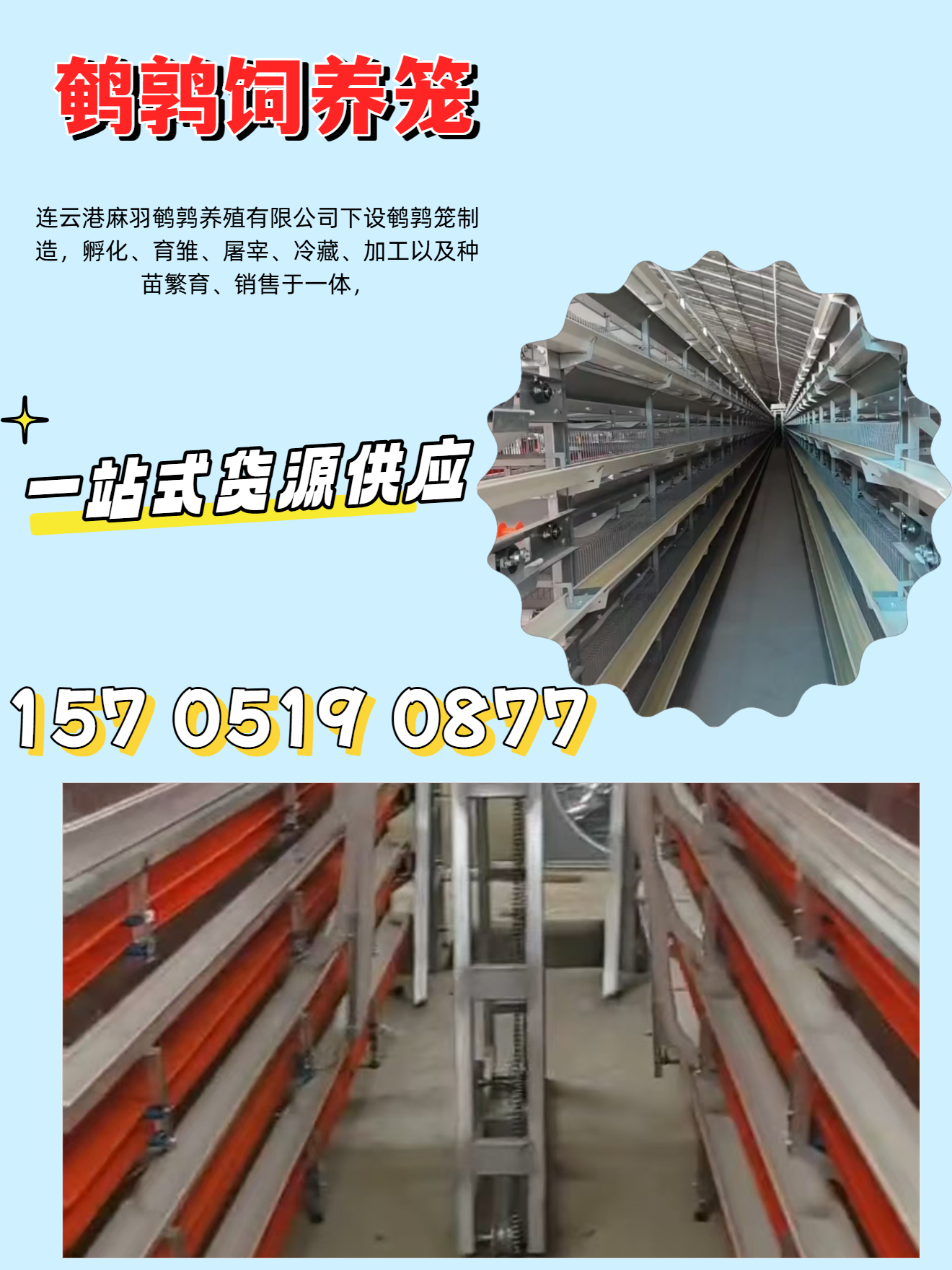 辽阳麻羽鹌鹑养殖麻羽鹌鹑养殖厂区外景