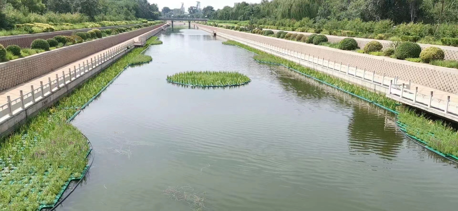 北镇鑫丰源水生植物种植基地水景绿化案例图片