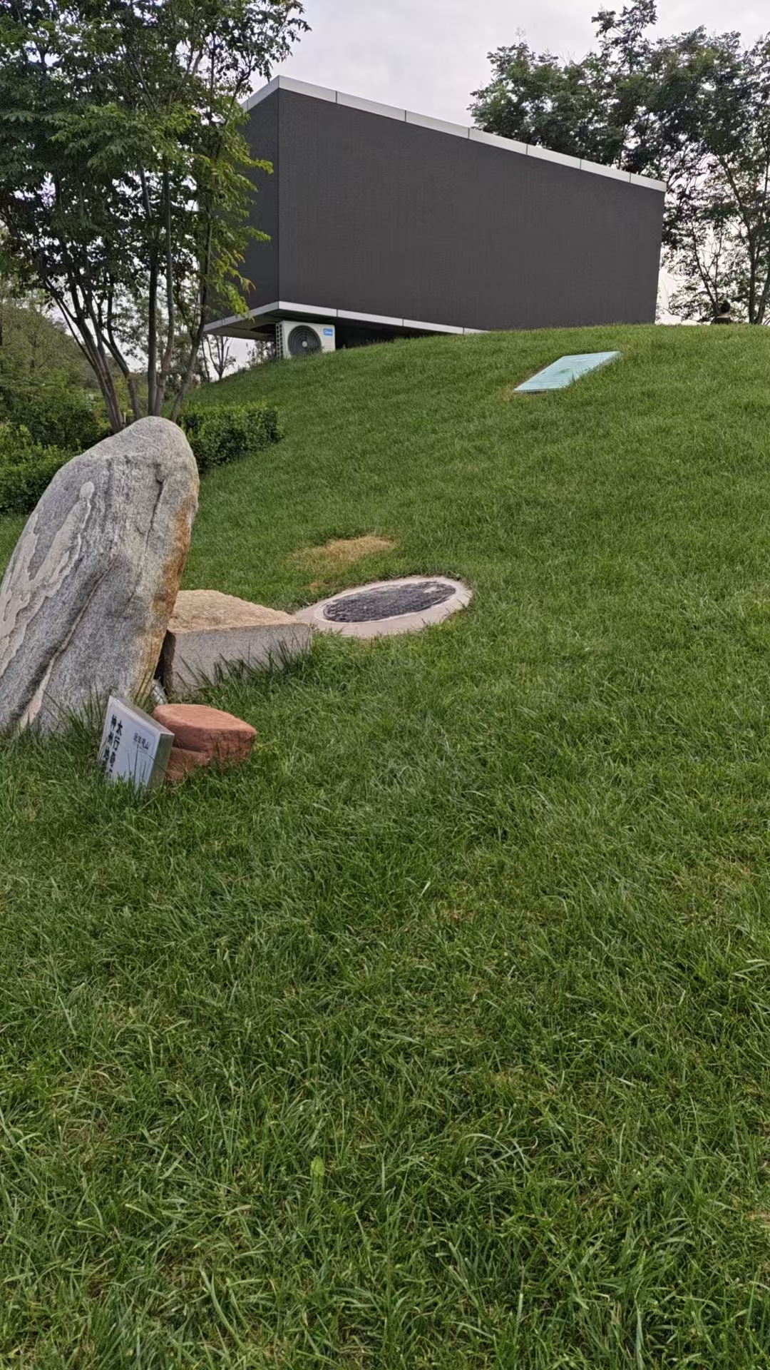 上海知名的草坪种植基地