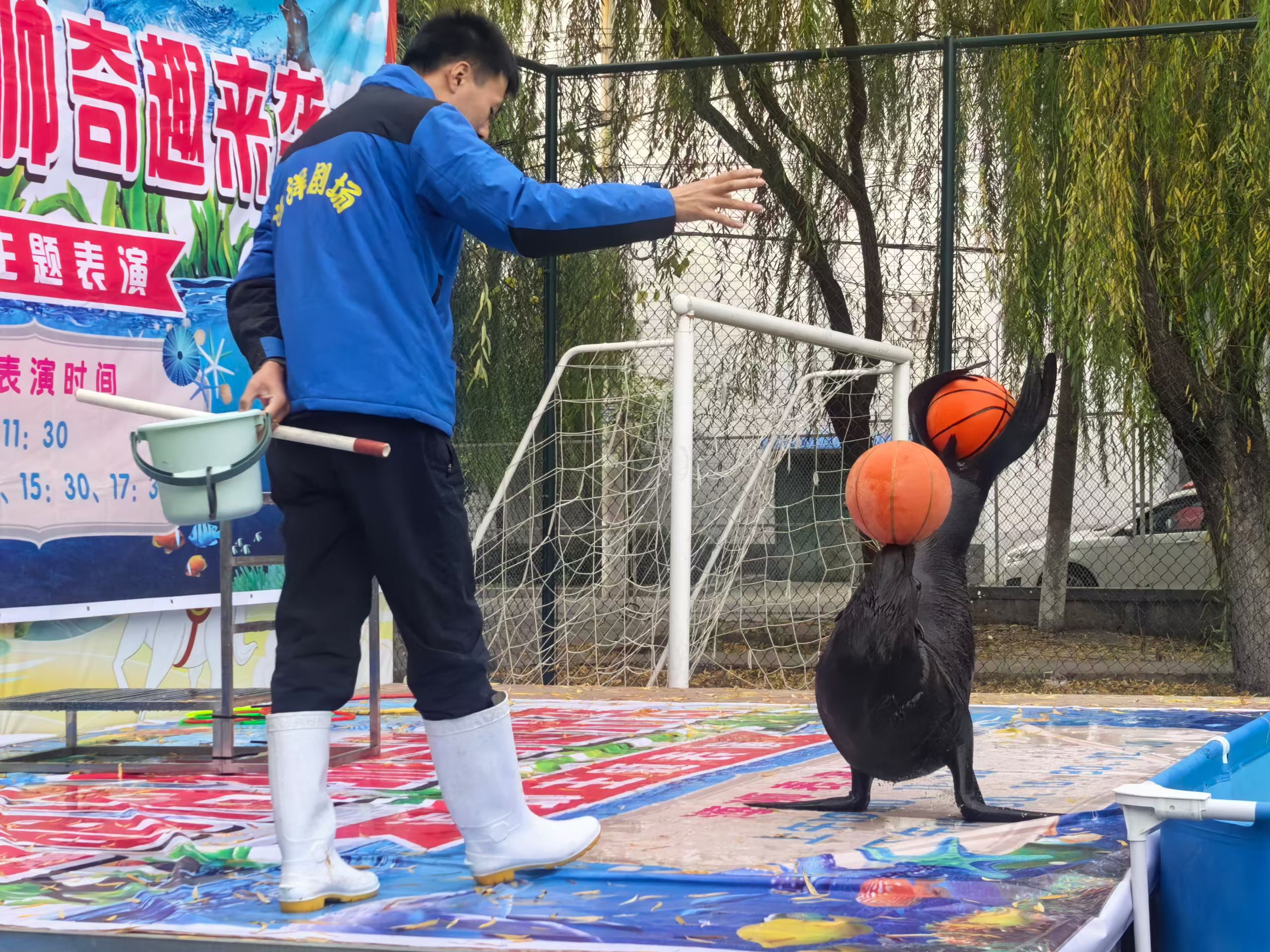 山西忻州海洋生物展览出租哪家性价比高
