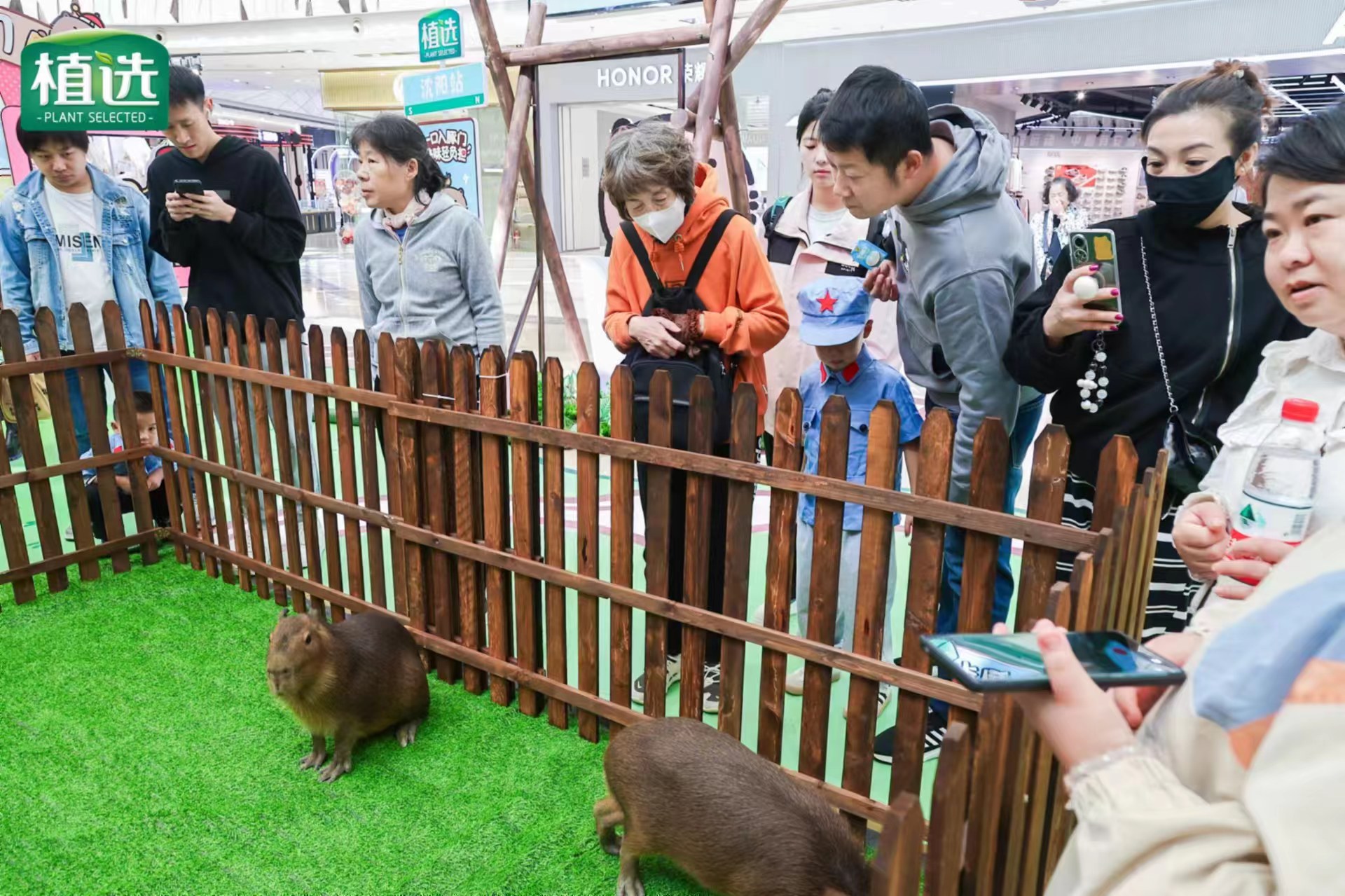 河南三门峡海洋生物展览出租哪家性价比高