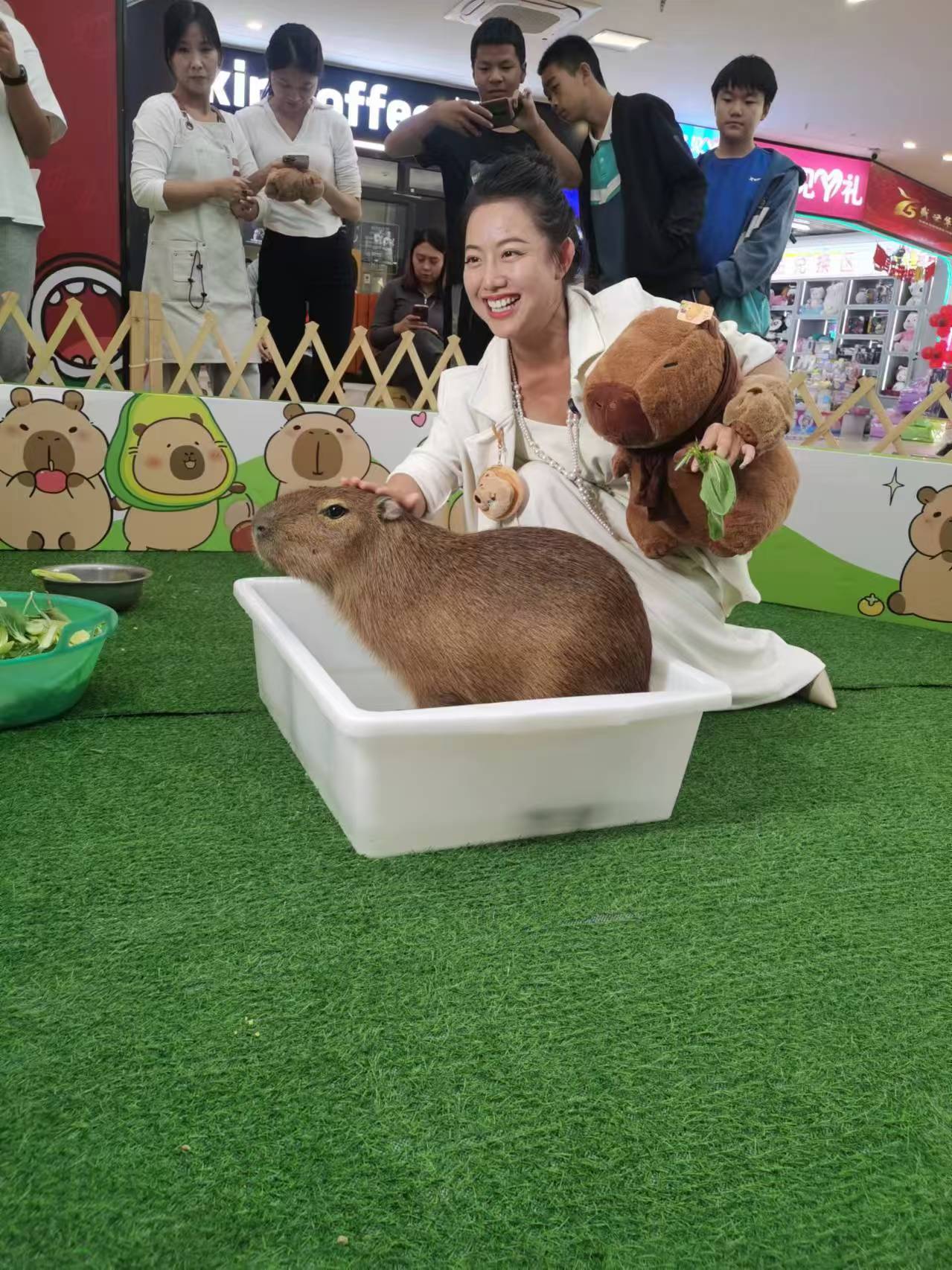 河南南阳爬行动物展览租赁哪家性价比高
