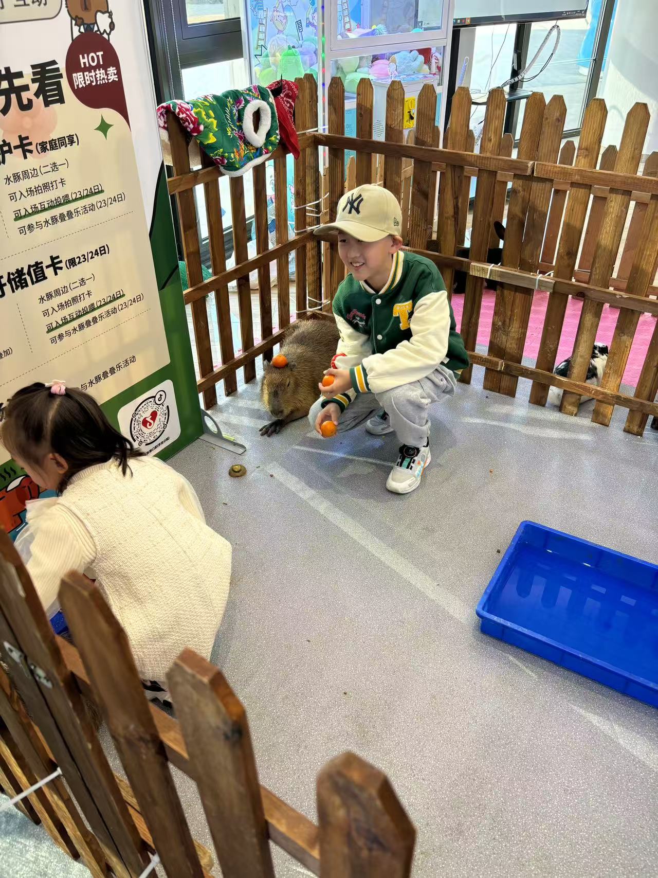 山西阳泉爬行动物展览租赁哪家性价比高