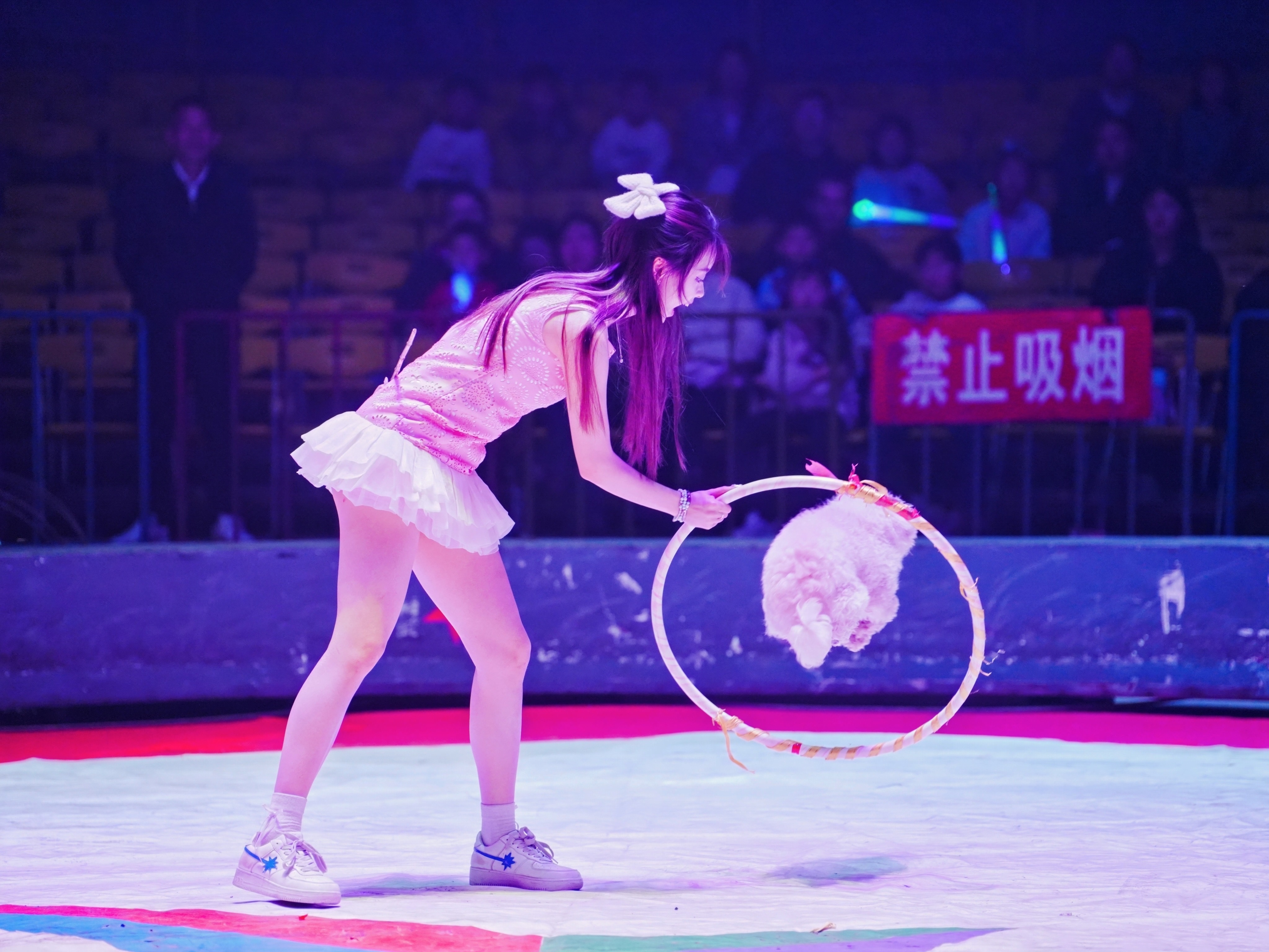 双流众鑫动物表演马戏团表演租赁哪家好实拍
