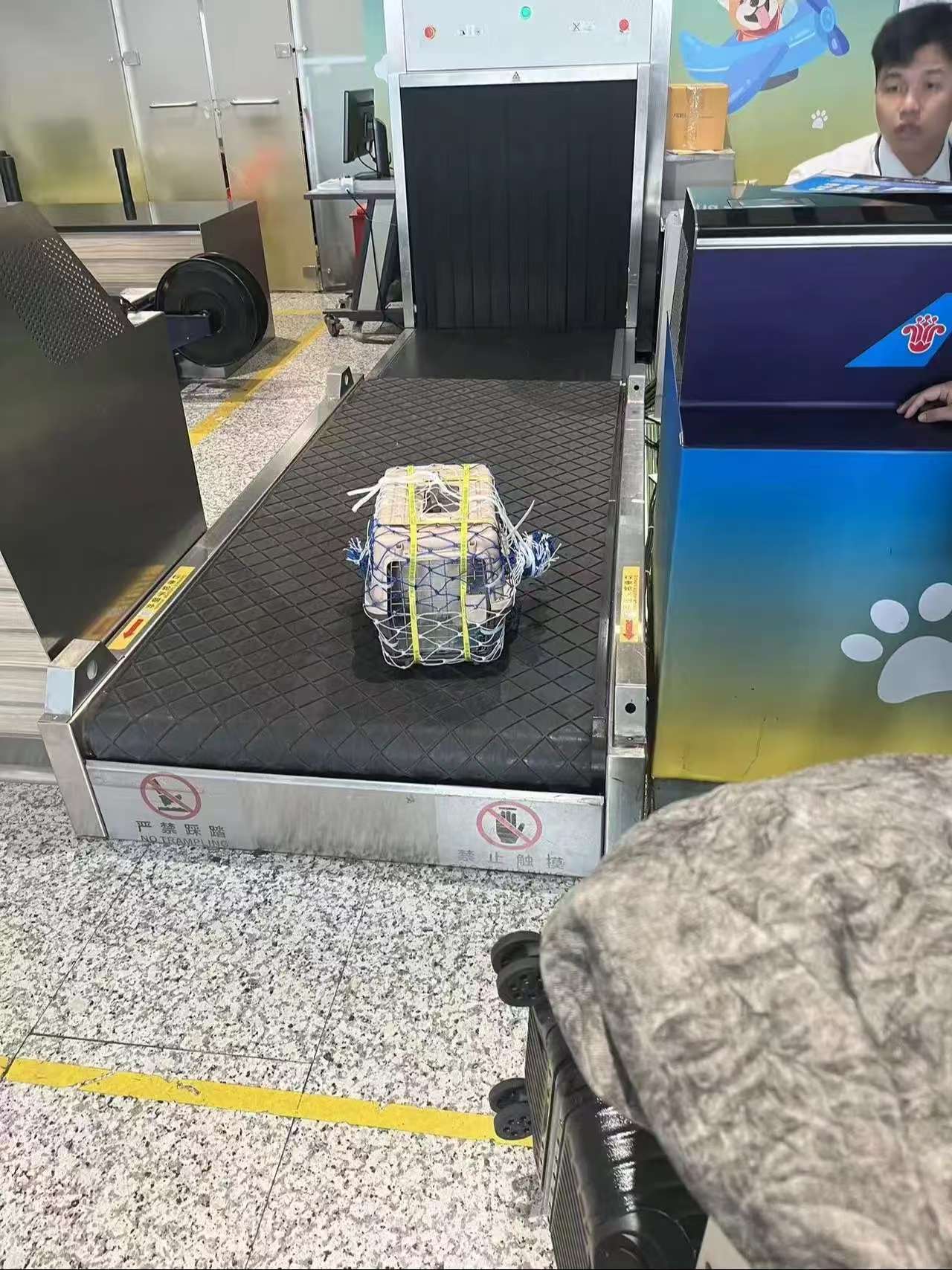 海东地宠乐萌宠物托运宠乐萌宠物托运实力展示