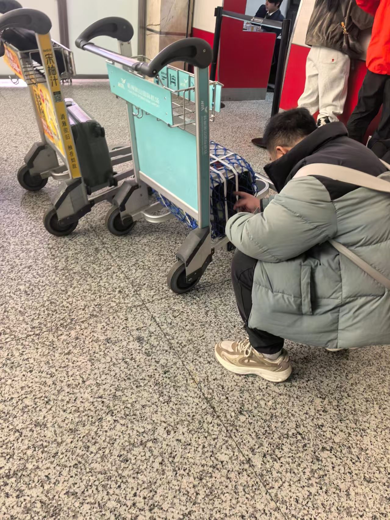 海东地宠乐萌宠物托运宠乐萌宠物托运现货展示