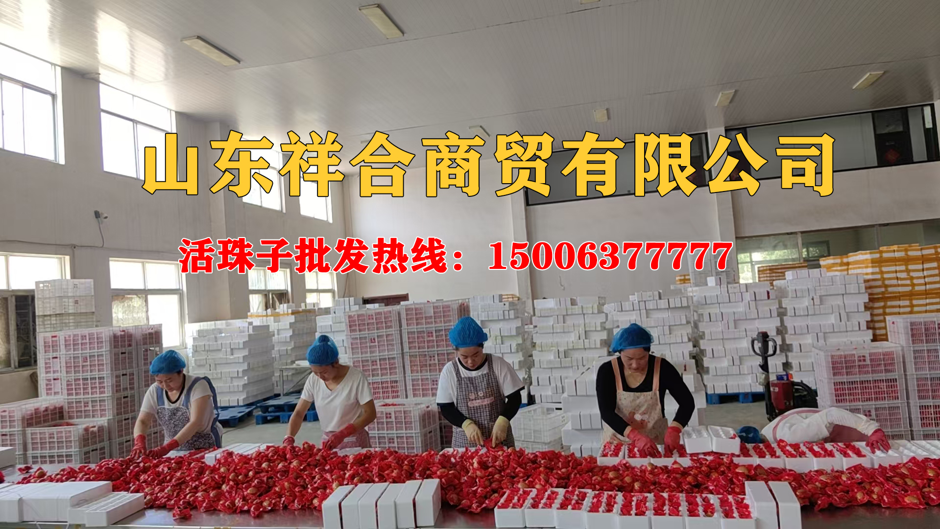 吴桥悠宝活珠子悠宝活珠子企业形象