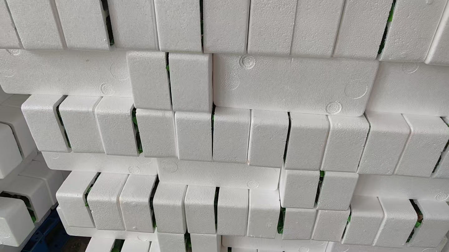 吴桥悠宝活珠子悠宝活珠子产品细节