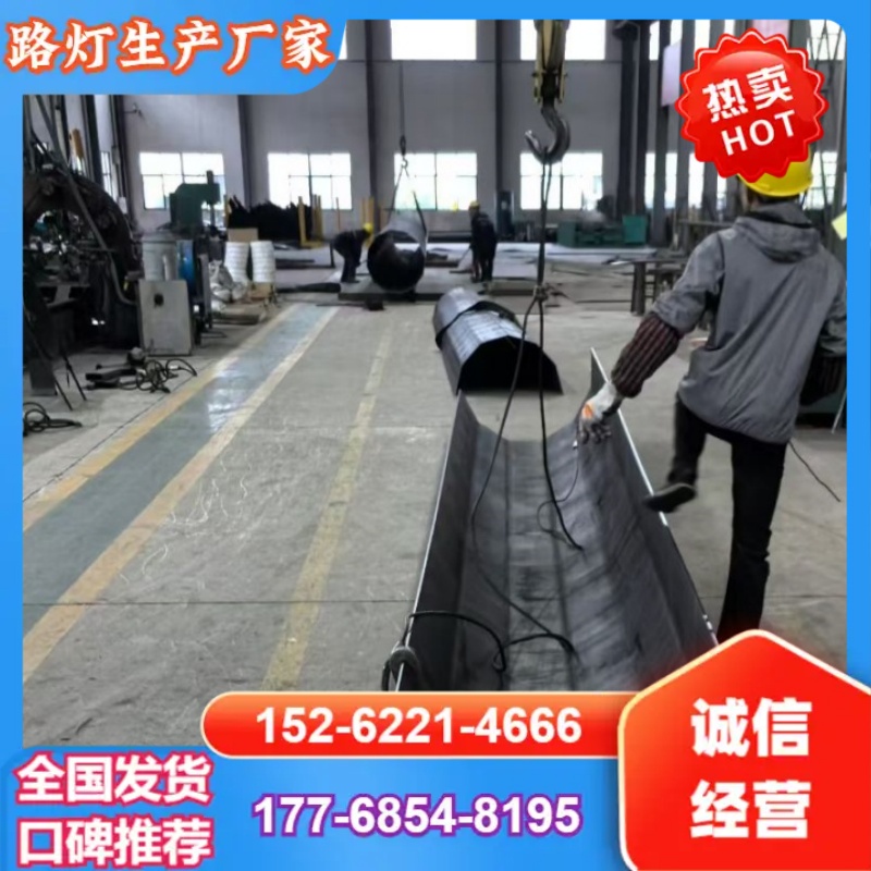 贵港传世路灯路灯生产厂家案例图片