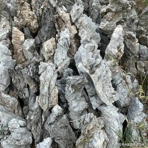 宾秀山水园林塑石假山实拍