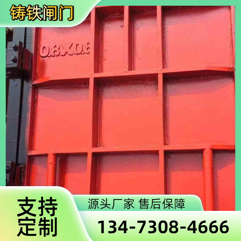 青田机闸一体钢闸门