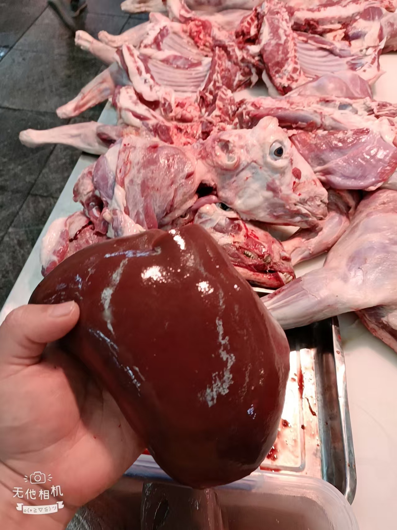 万柏林羊豪鲜食品羊肉批发展示