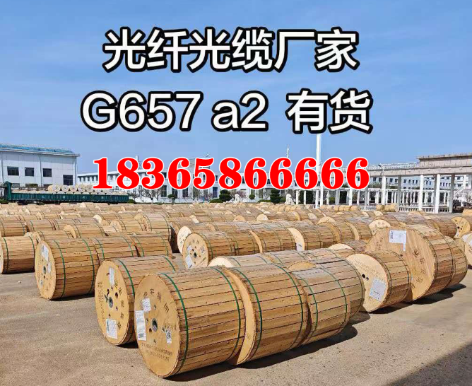 2026 年新消息：评价高的G657A1光纤生产厂家怎么联系,揭秘：为什么你的光纤选择错了，正在损失巨大成本？