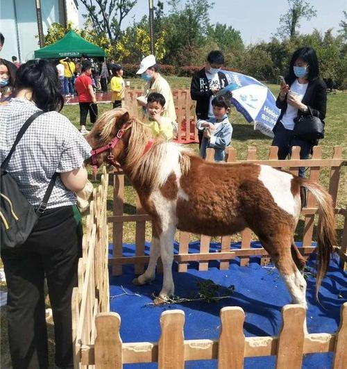 滦县振豪特种养殖羊驼养殖场实拍