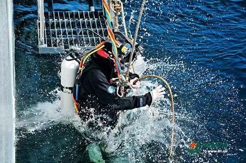 浙江温州水下救援全天在线