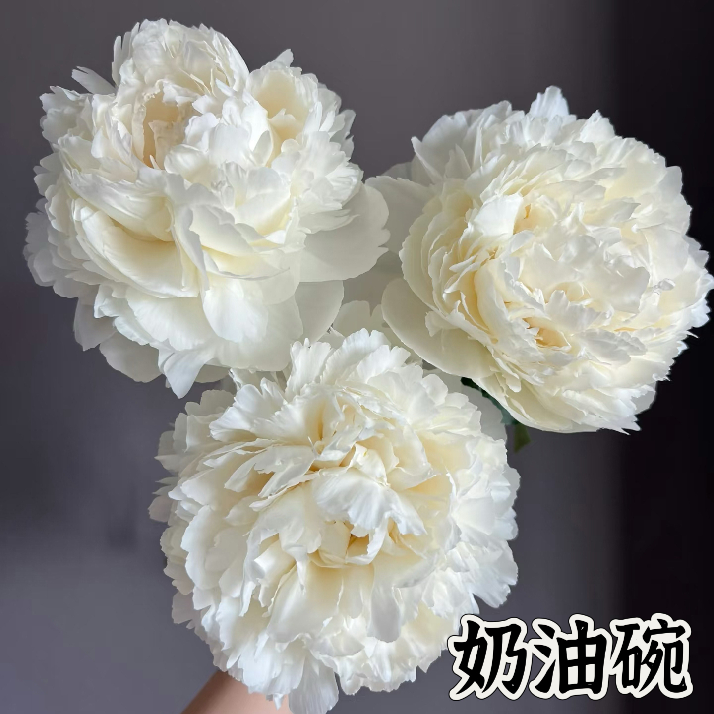 滦南昊宇园艺昊宇园艺案例展示