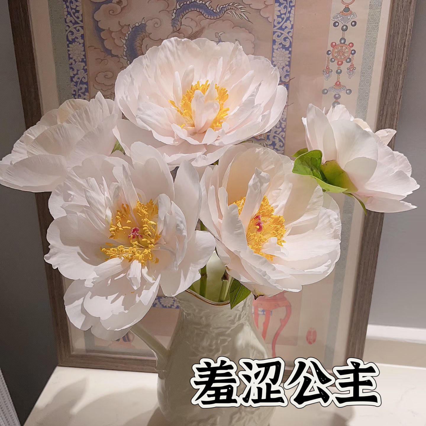 滦南昊宇园艺观赏芍药苗源头基地实拍