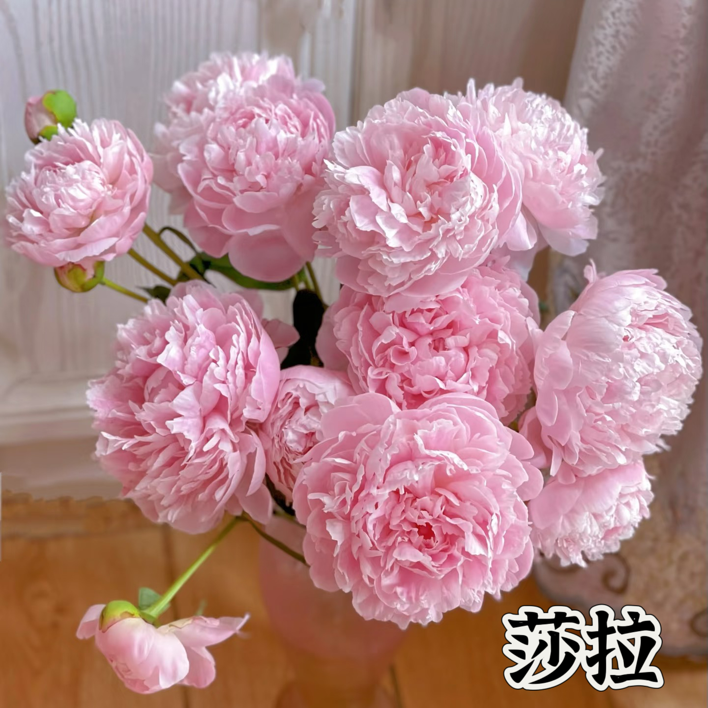 滦南昊宇园艺昊宇园艺服务场景