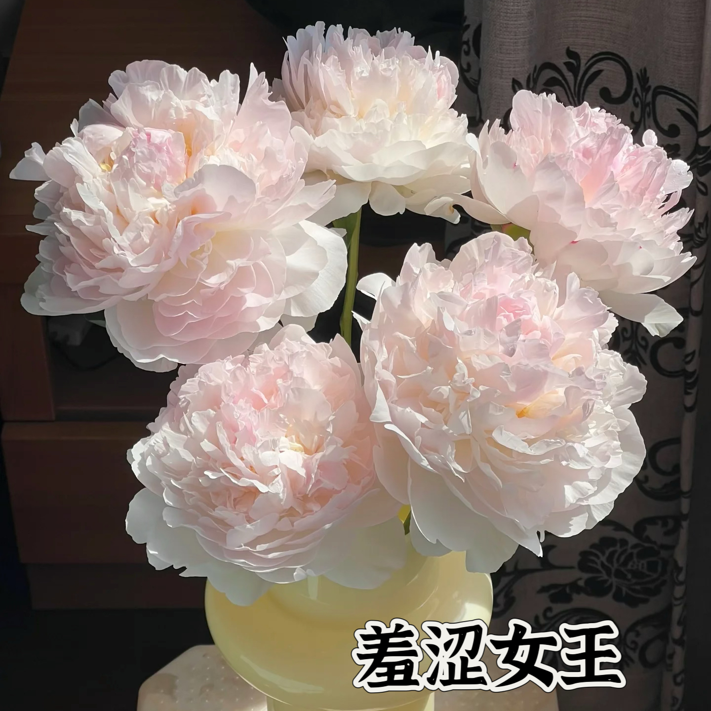 滦南昊宇园艺昊宇园艺产品细节