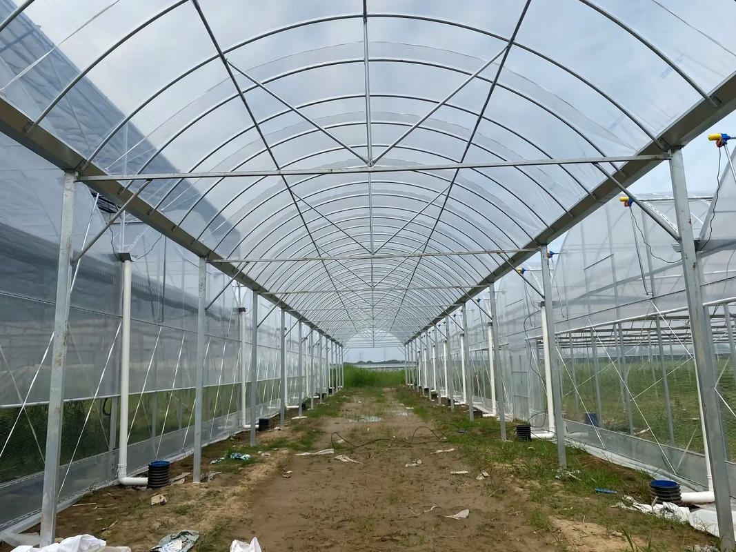 北京养殖大棚施工安装