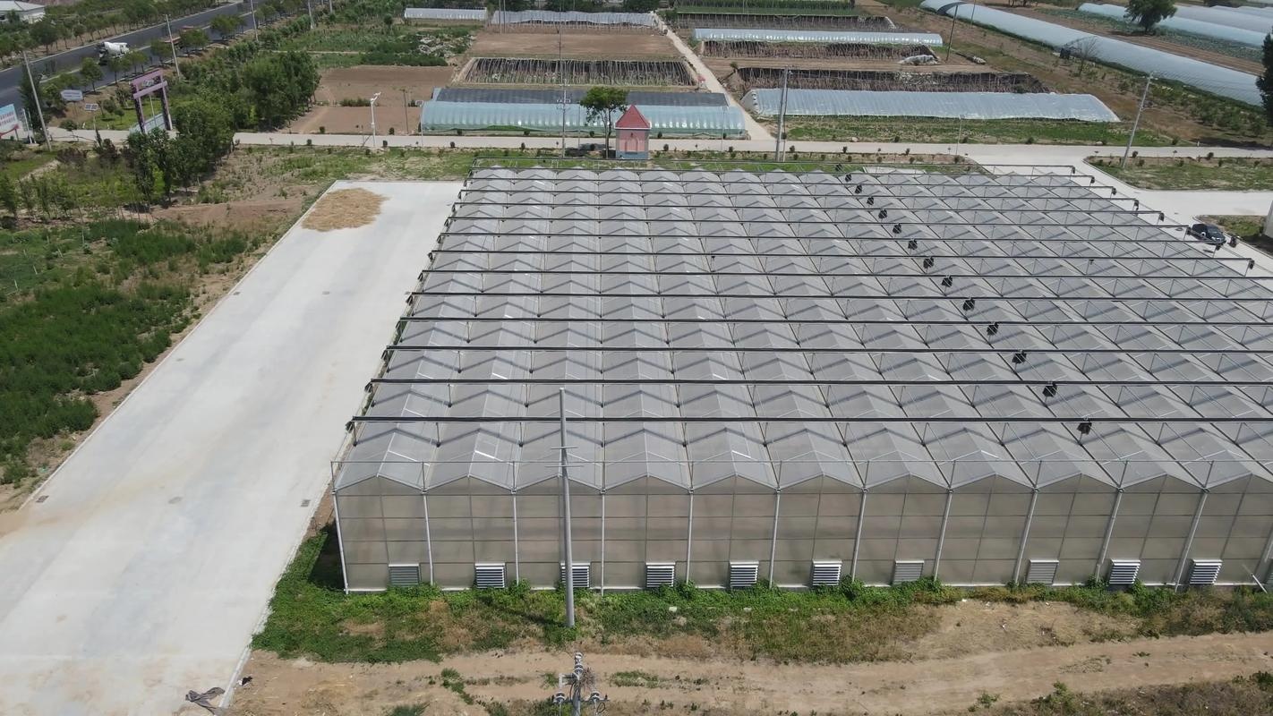 上海连栋温室大棚施工安装