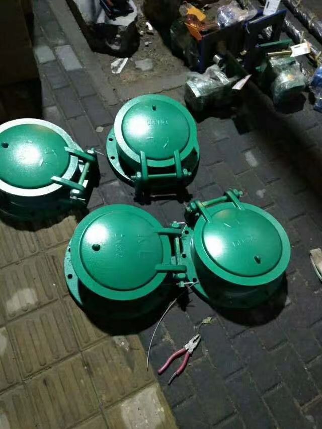 上海上海市虹口区防腐拍门实体厂家