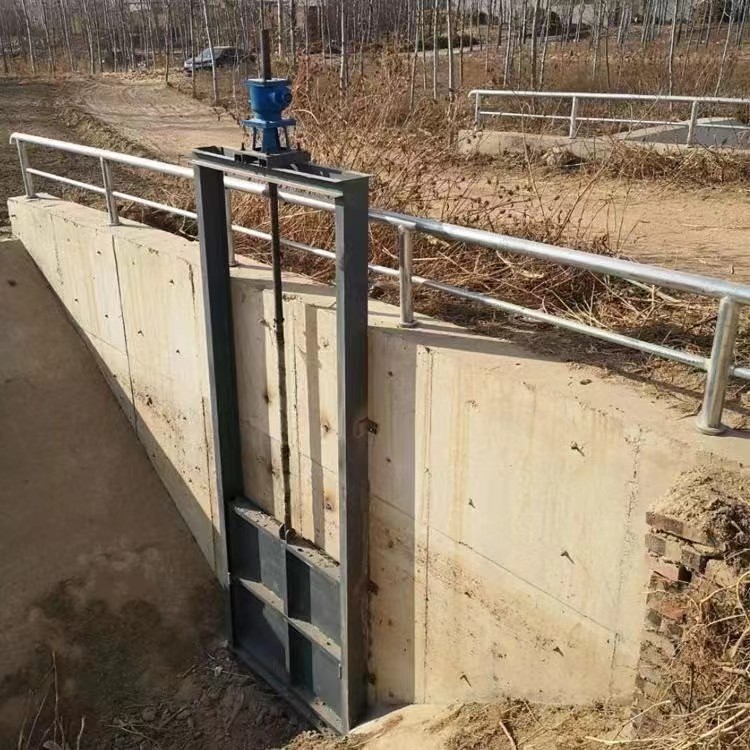 广东省揭阳市东山区手动机闸一体闸门体现机闸一体优势