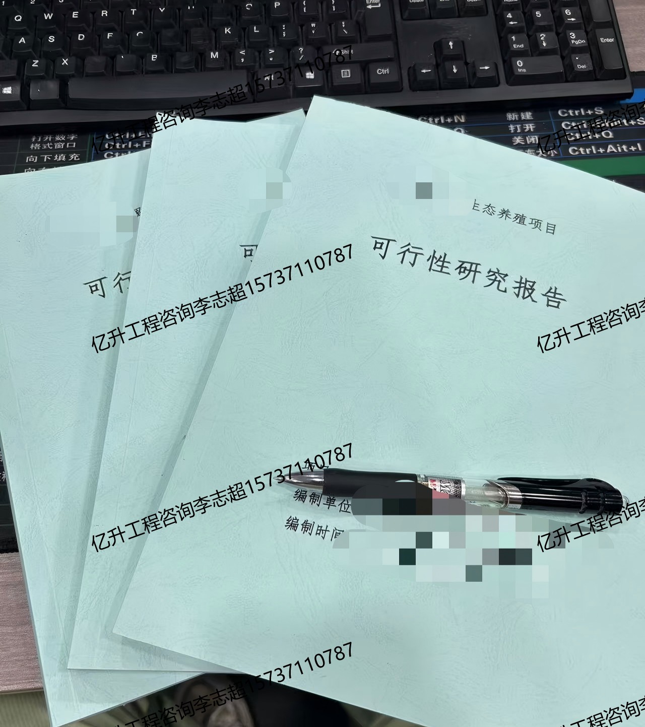 陕西宝鸡眉两新国债资金申请报告